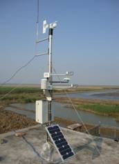 探秘上海自动气象站 科技赋能，精准监测城市气象脉搏